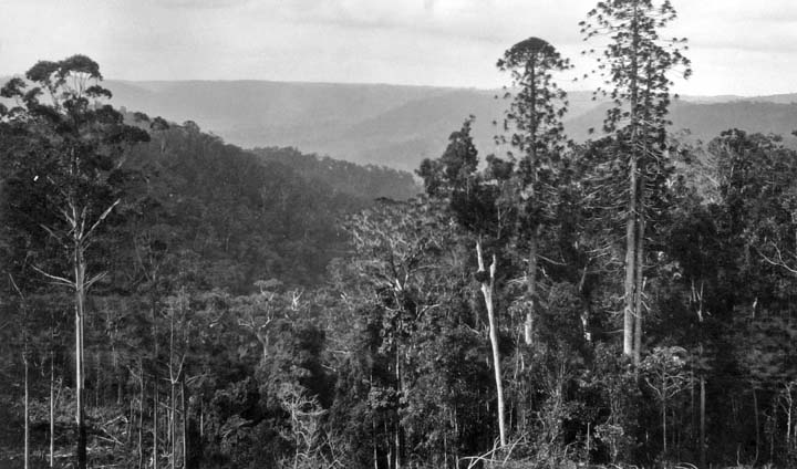 File:Queensland State Archives 366 Looking over Obi Obi towards Mapleton 1931.png