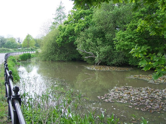 File:Roadside duck pond near Cowesfield Green - geograph.org.uk - 413752.jpg