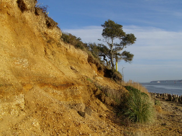 File:Sandstone cliff, Lepe - geograph.org.uk - 1146133.jpg