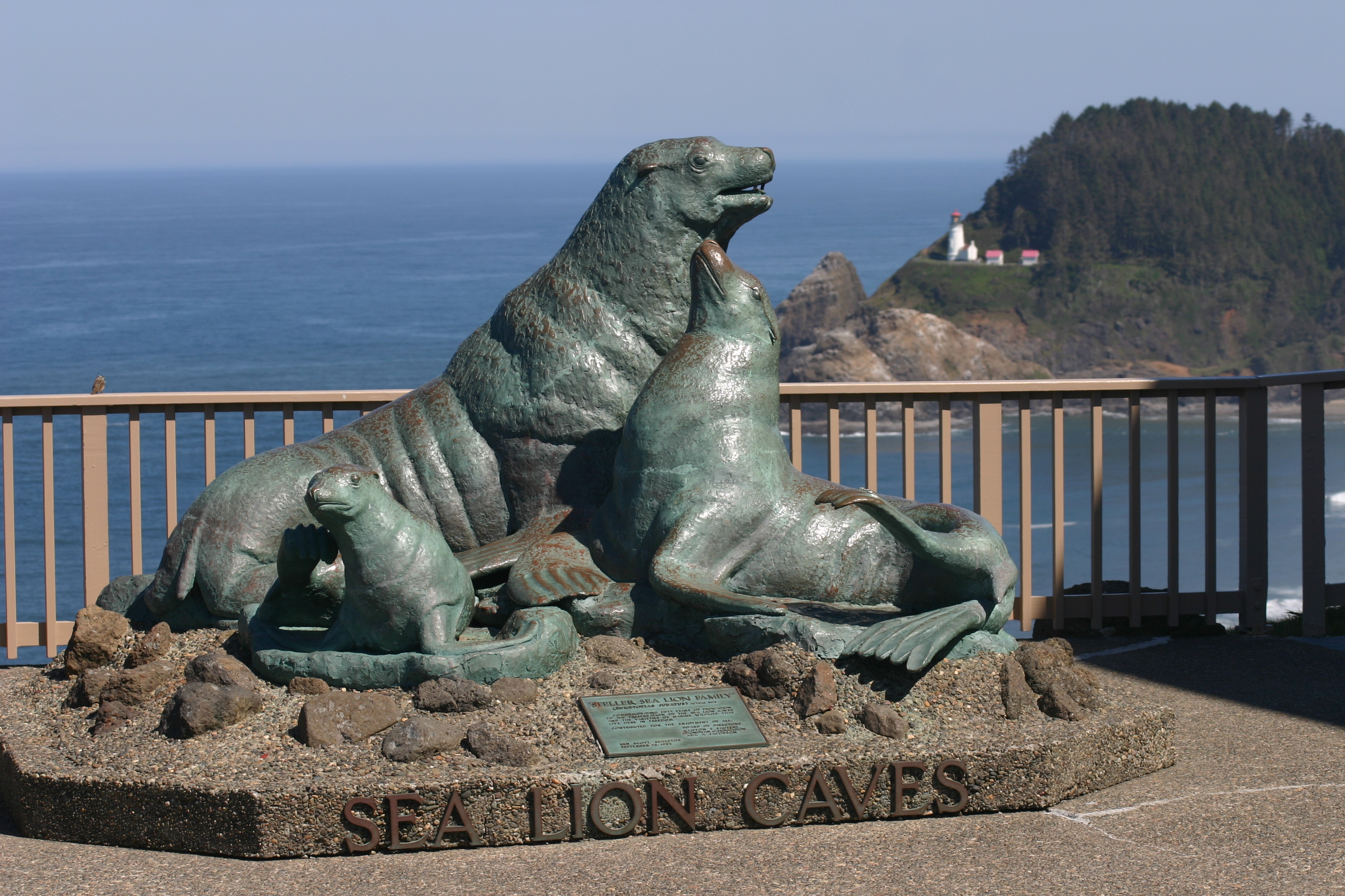 The Magnificent Sea Lions of Oregon