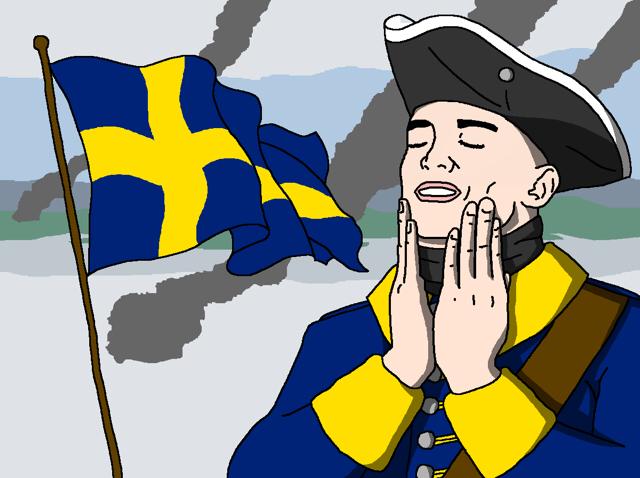 Swedish_Carolean.jpg