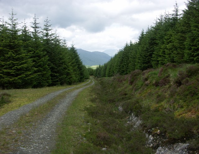 File:Track down Bealach nan Cabrach - geograph.org.uk - 20578.jpg