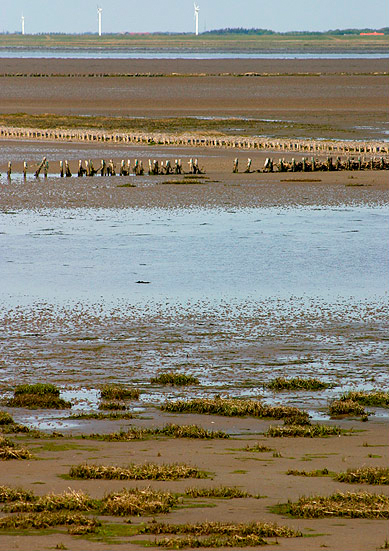 Wattenmeer Nordsee Wikipedia