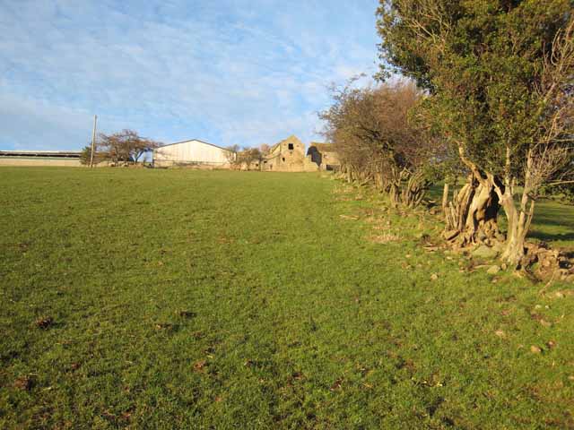 File:West Newlands - geograph.org.uk - 322566.jpg