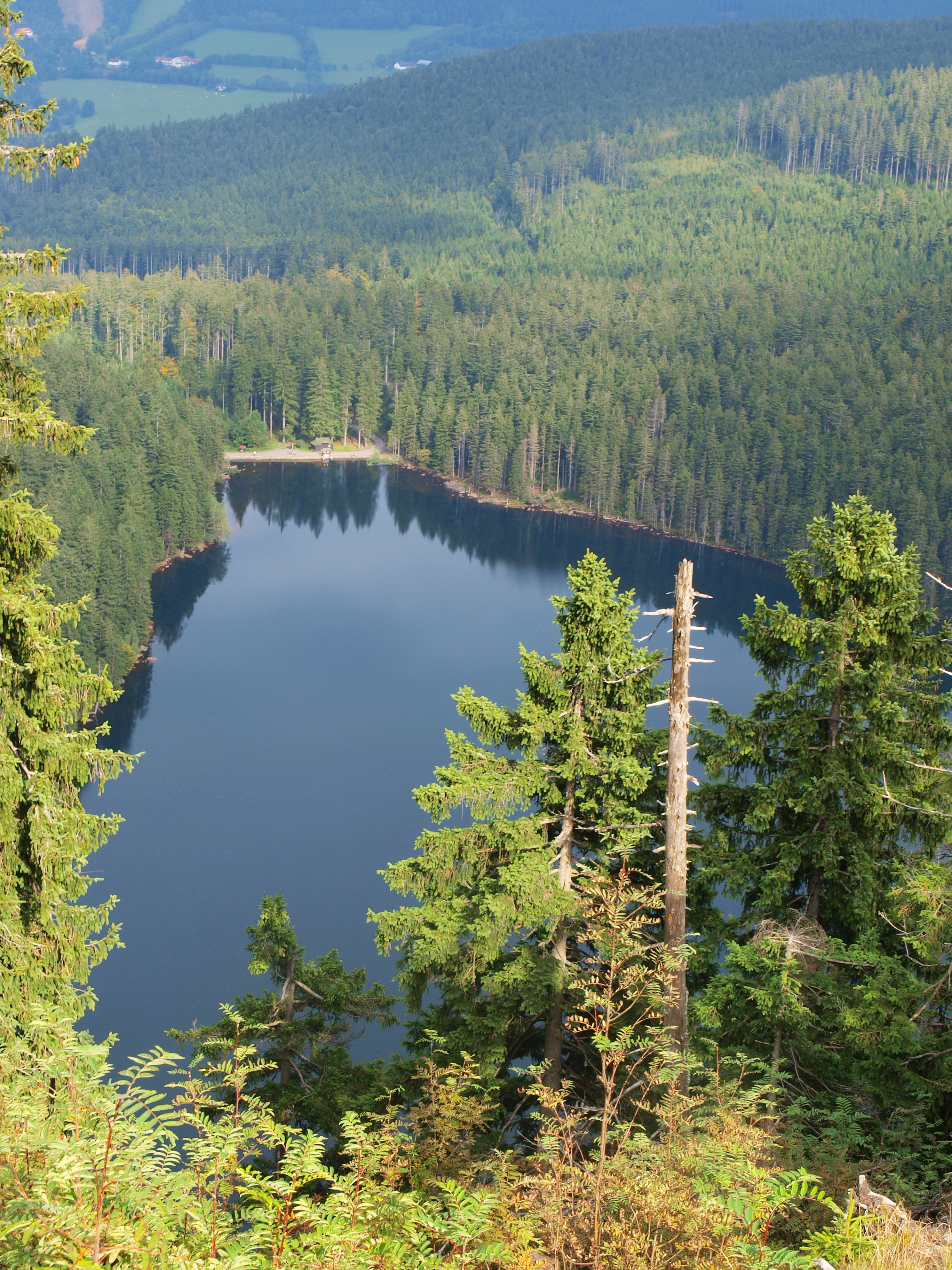 Jaké je největší jezero na Šumavě?