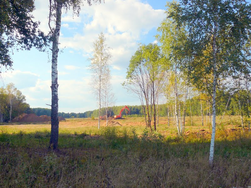 Костино правды. Костино петушинский