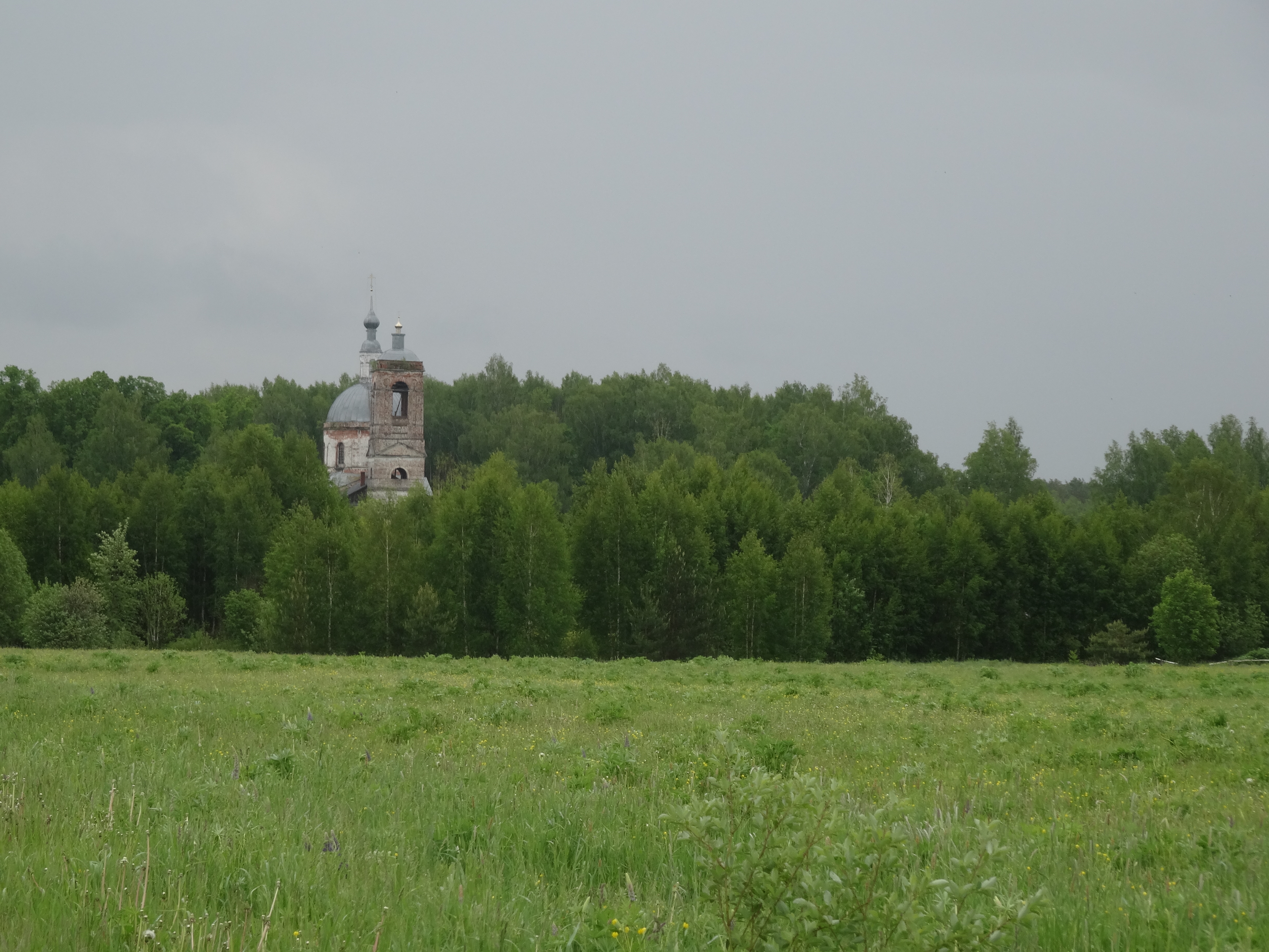 Церковь Покрова Богородицы чижи