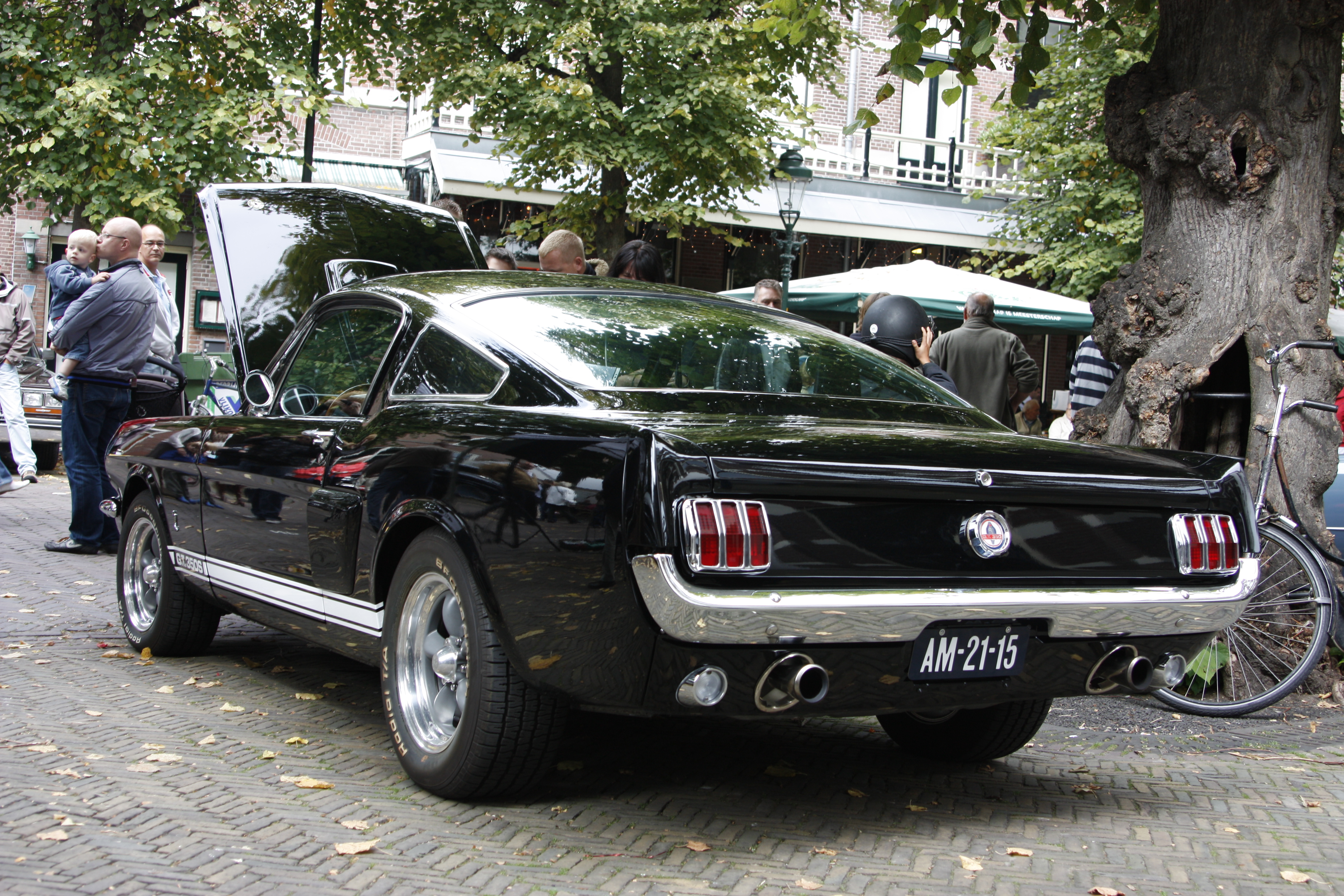 Ford Mustang First Generation Wikiwand