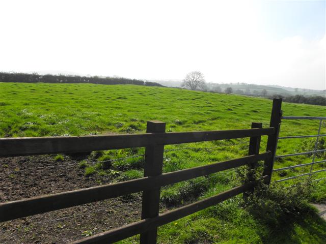 File:Ballycloghan Townland - geograph.org.uk - 2624689.jpg