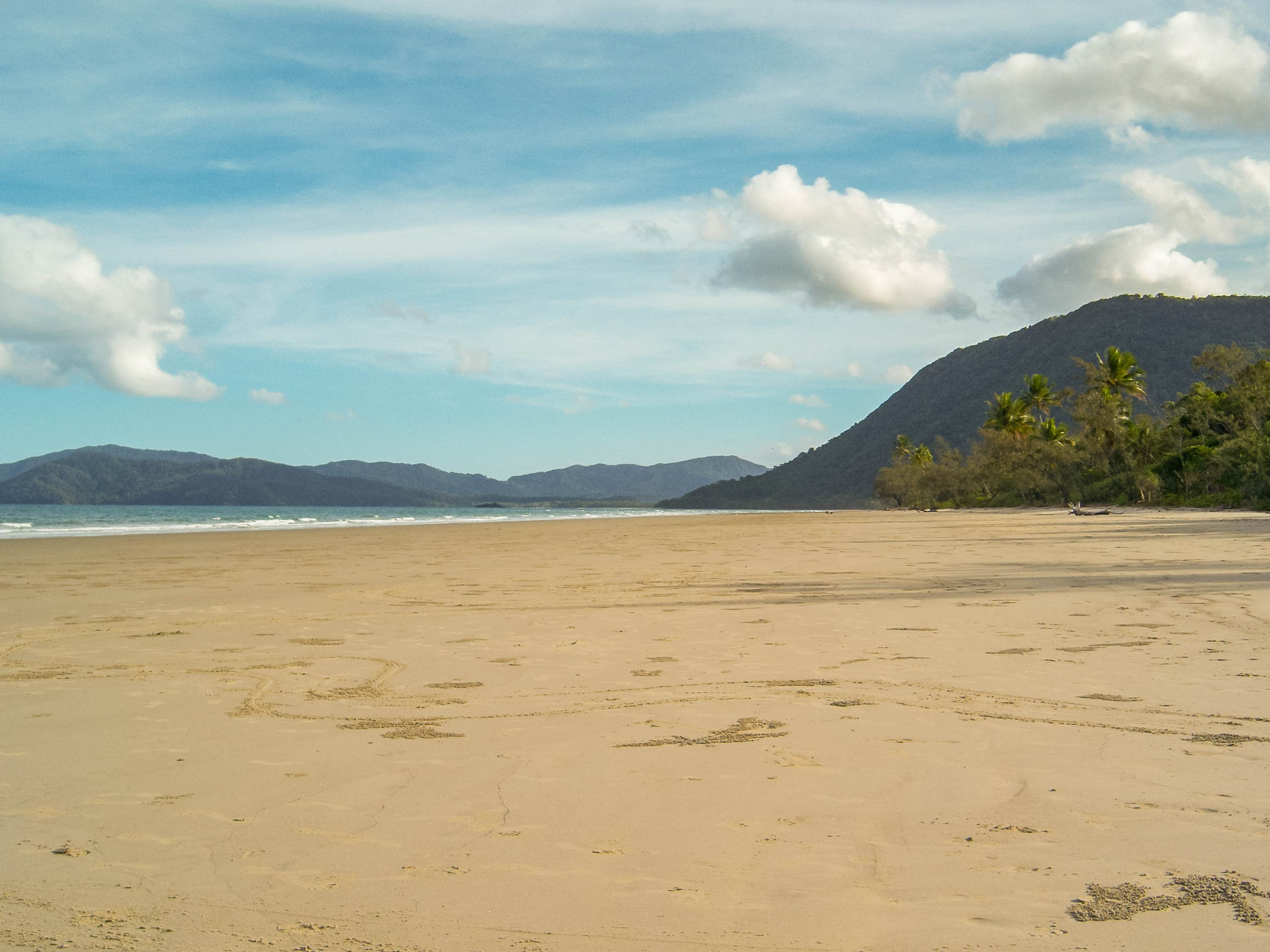 Daintree National Park Australia