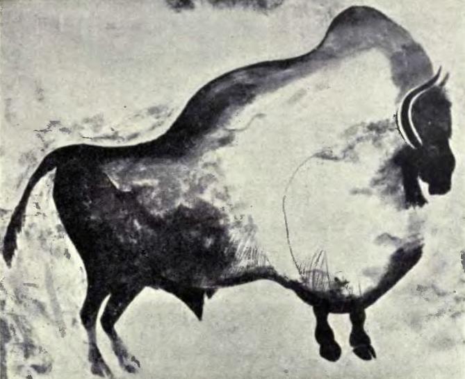 File:Bison painting from Font-de-Gaume.jpg