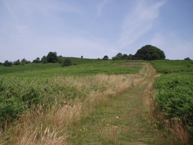 Bringsty Common - geograph.org.uk - 194898