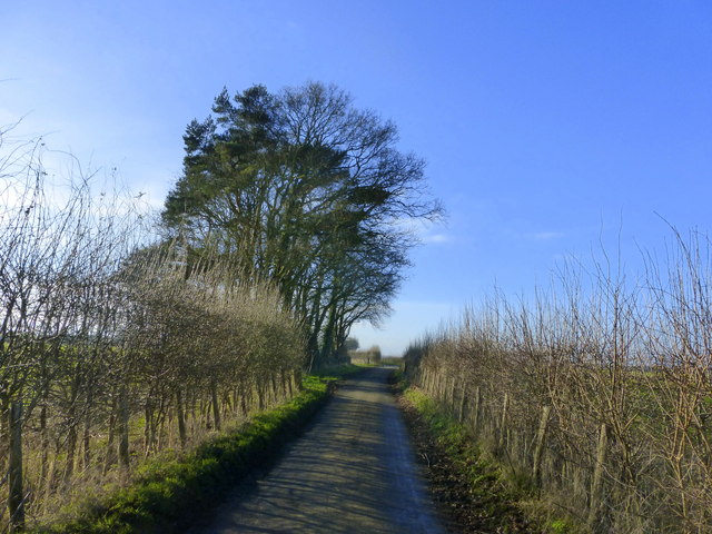 File:Country lane near Elham - geograph.org.uk - 4297239.jpg