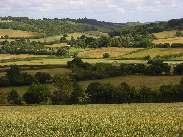 File:Countryside, Radnage - geograph.org.uk - 883920.jpg