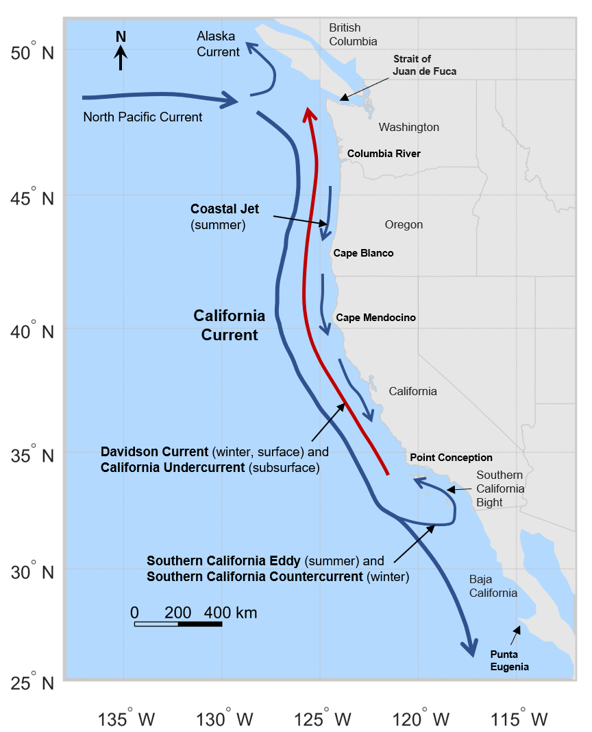 north pacific current map