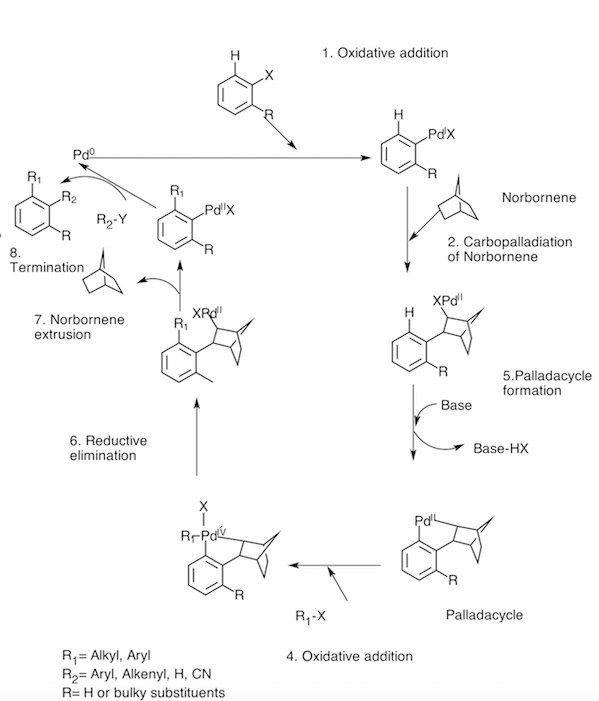 Different Steps of the Catellani reaction