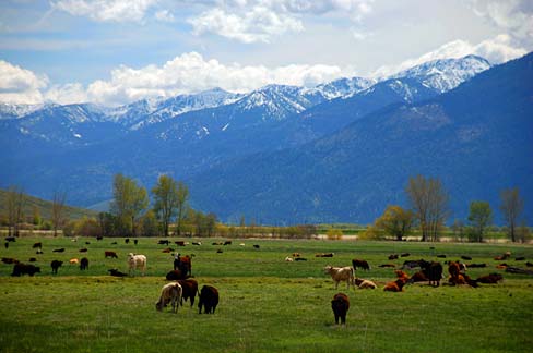 File:Elkhorn Mountains (Union County, Oregon scenic images) (uniDA0022a).jpg