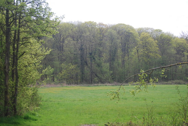 File:Field and forest near Westdean - geograph.org.uk - 1922057.jpg