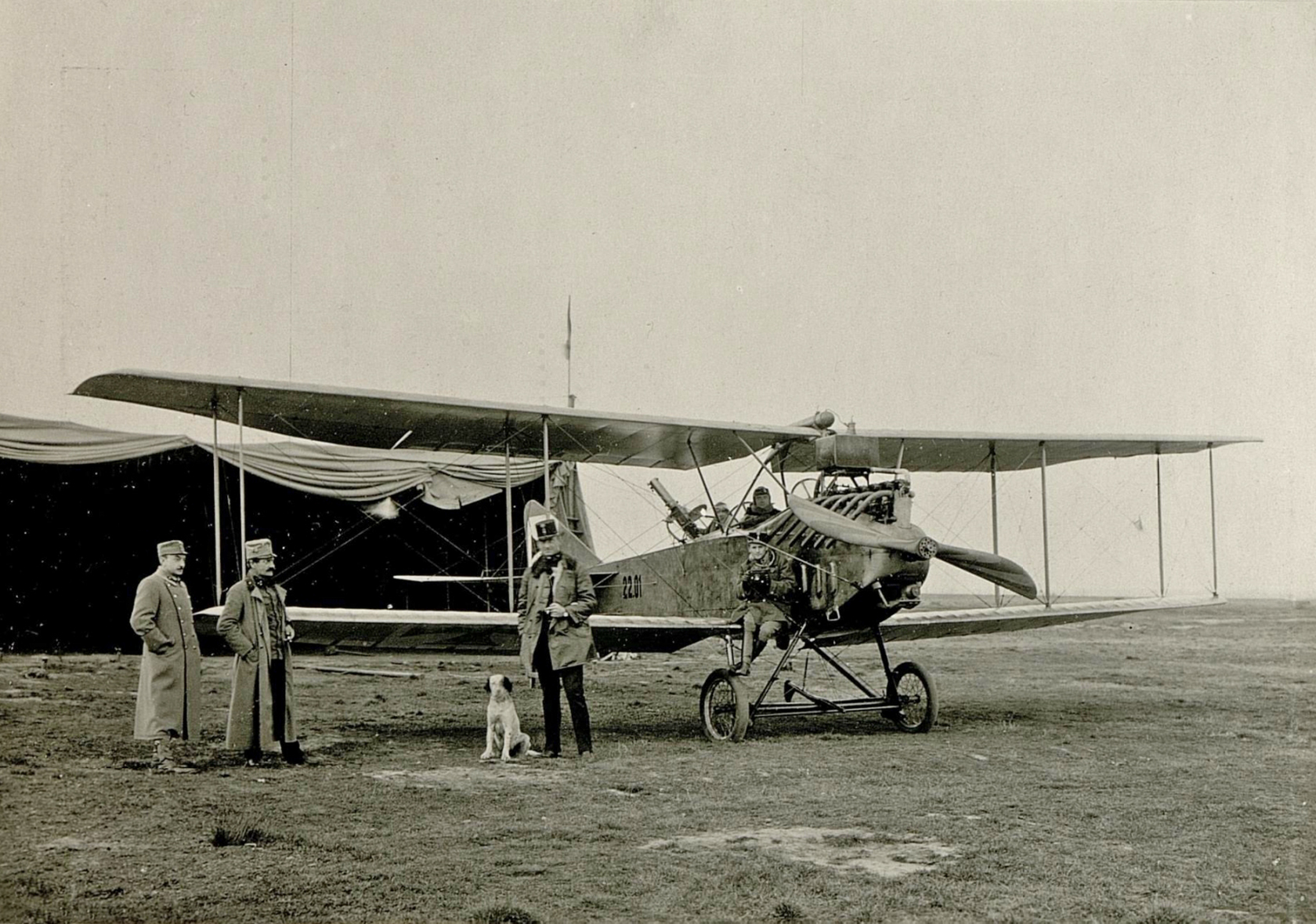 Albatros b.i