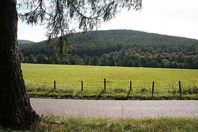 File:Glen Tanar - geograph.org.uk - 237113.jpg