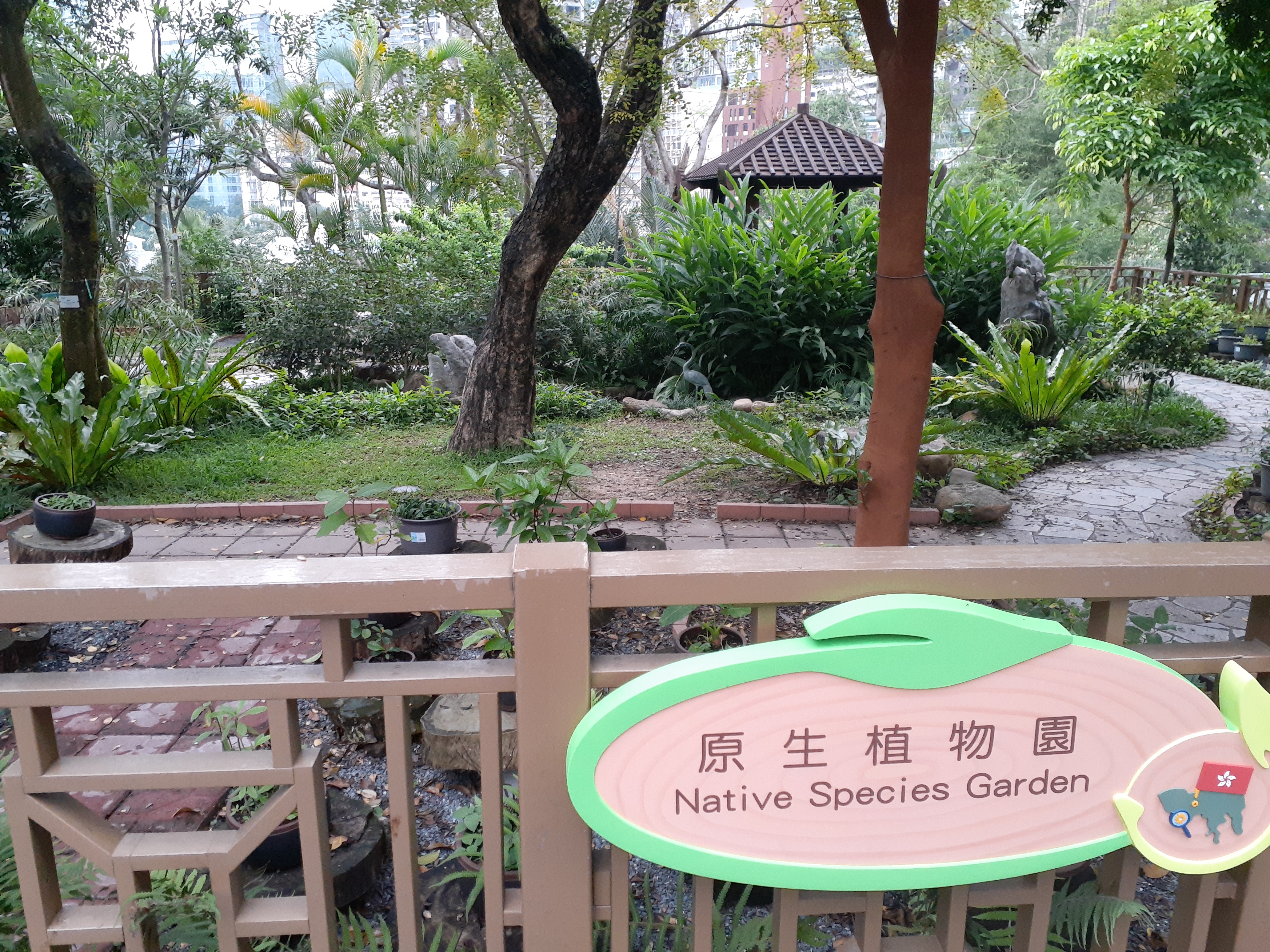 File Hk 中環 Central 香港動植物公園 Zoological And Botanical Gardens April Ss2 Jpg Wikimedia Commons