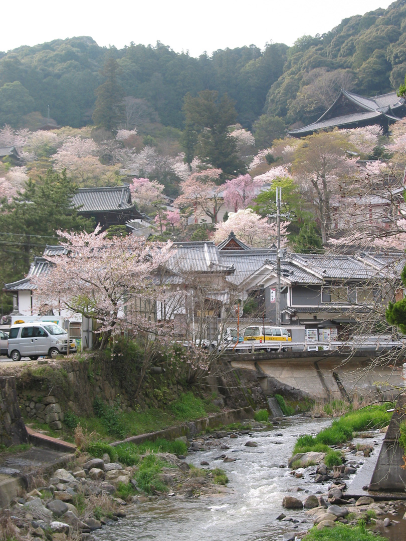 japan eco travel