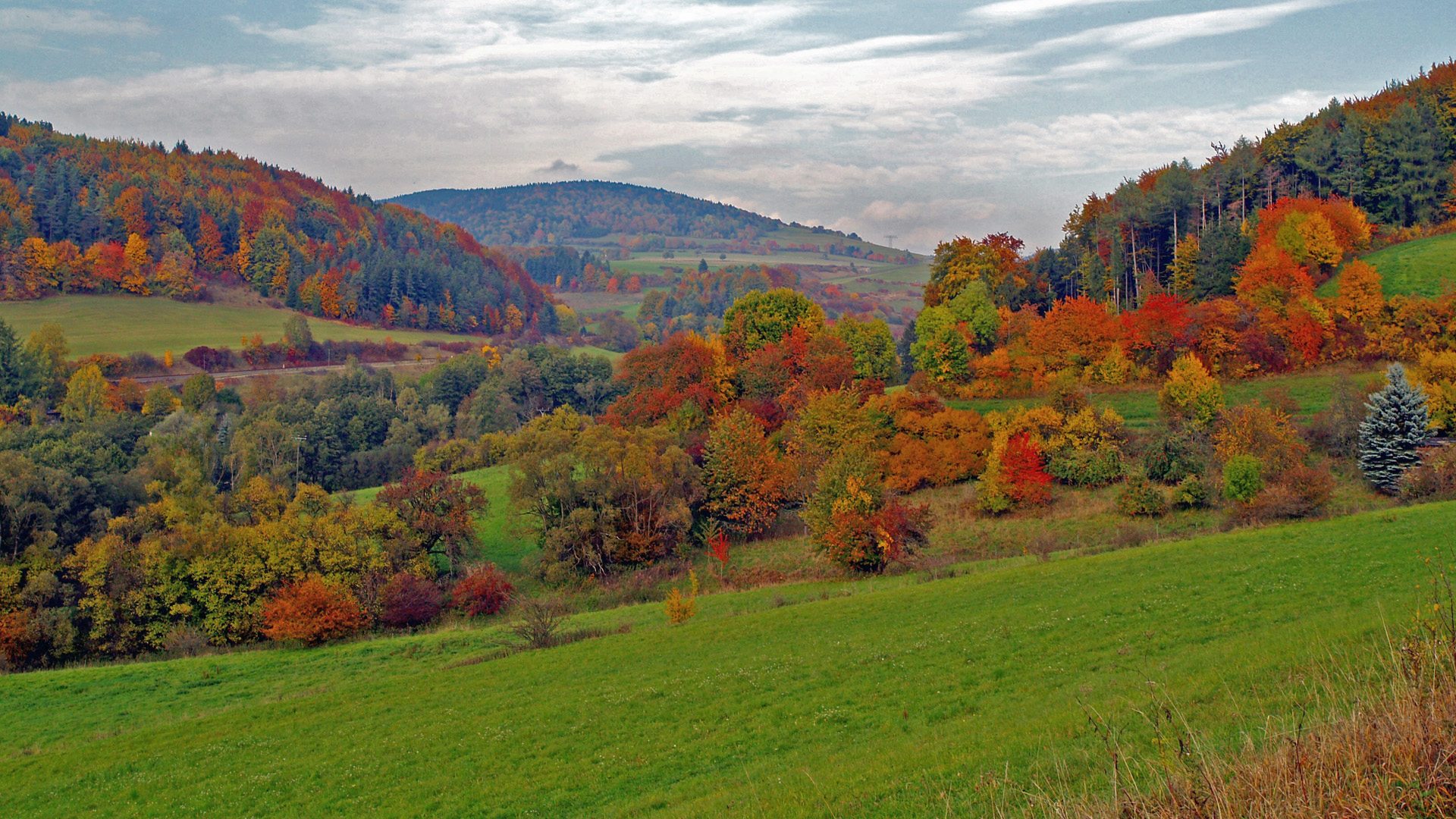 Thüringen Лесные угодья