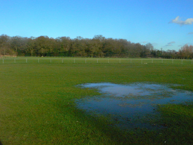 Hillfield Park and Widney Woods - geograph.org.uk - 717589