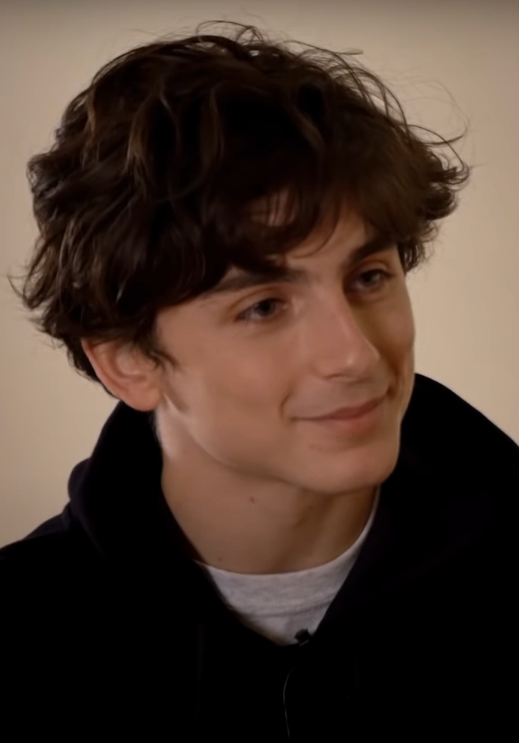 Timothée Chalamet - Wikipedia