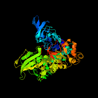 iTASSER predicted tertiary structure of C13orf46 Isoform X1 Isoform X1 Tertiary iTASSER.png