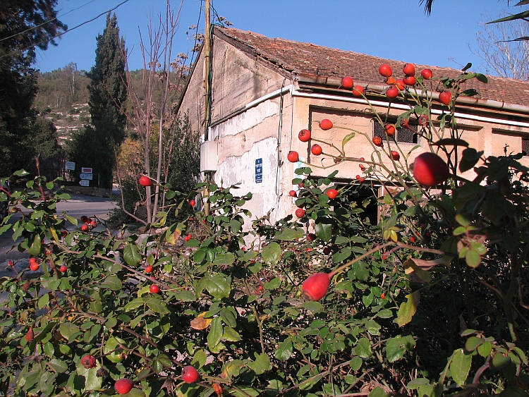 File:Kiryat Anavim barn.jpg