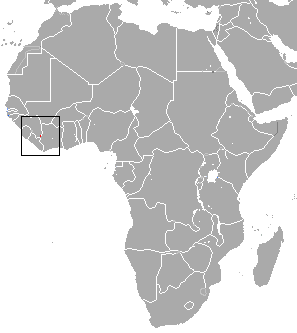 <span class="mw-page-title-main">Lamotte's roundleaf bat</span> Species of mammal