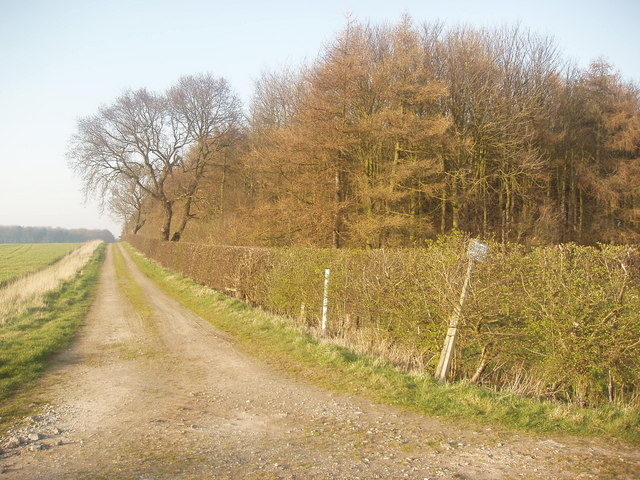 File:Lane to Dunkirk Farm - geograph.org.uk - 378912.jpg