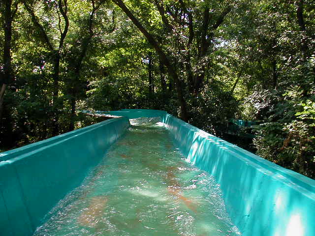 File:Log flume sfot.JPG