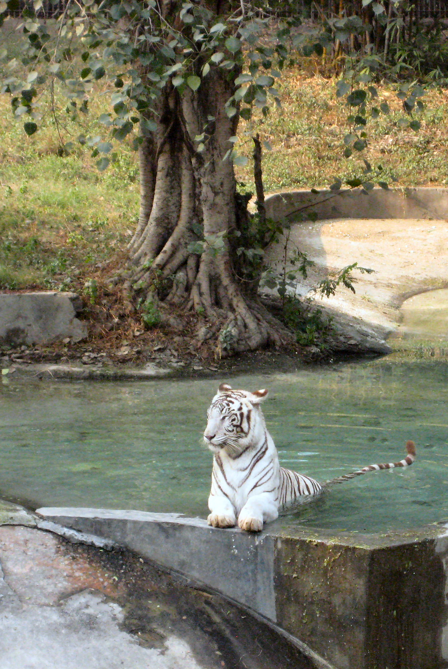 national zoological park timings