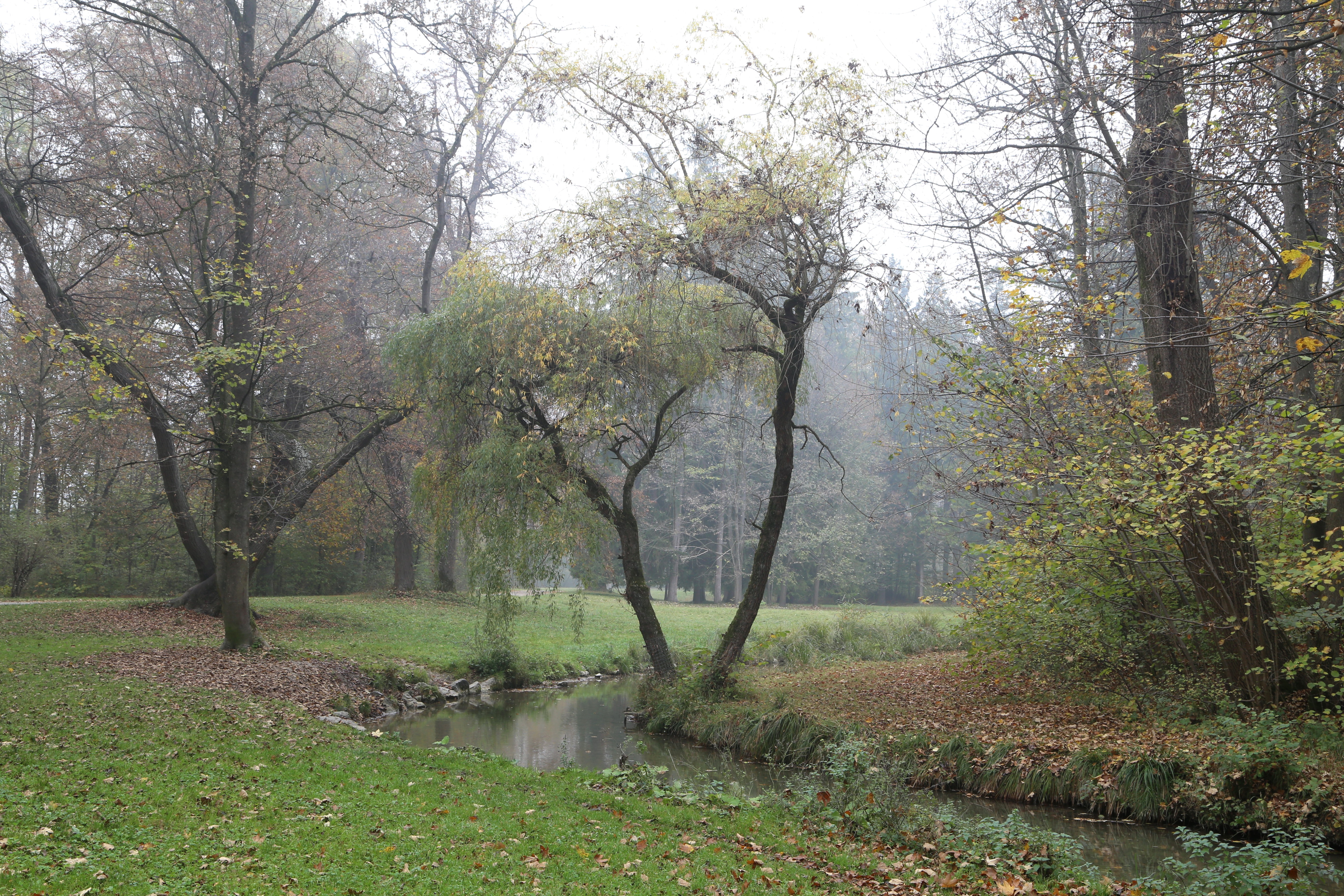 File Oberstjaegermeisterbach Englischer Garten Herbst 3 Jpg