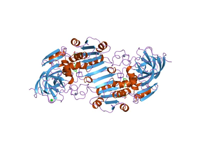 File:PDB 1hdz EBI.jpg