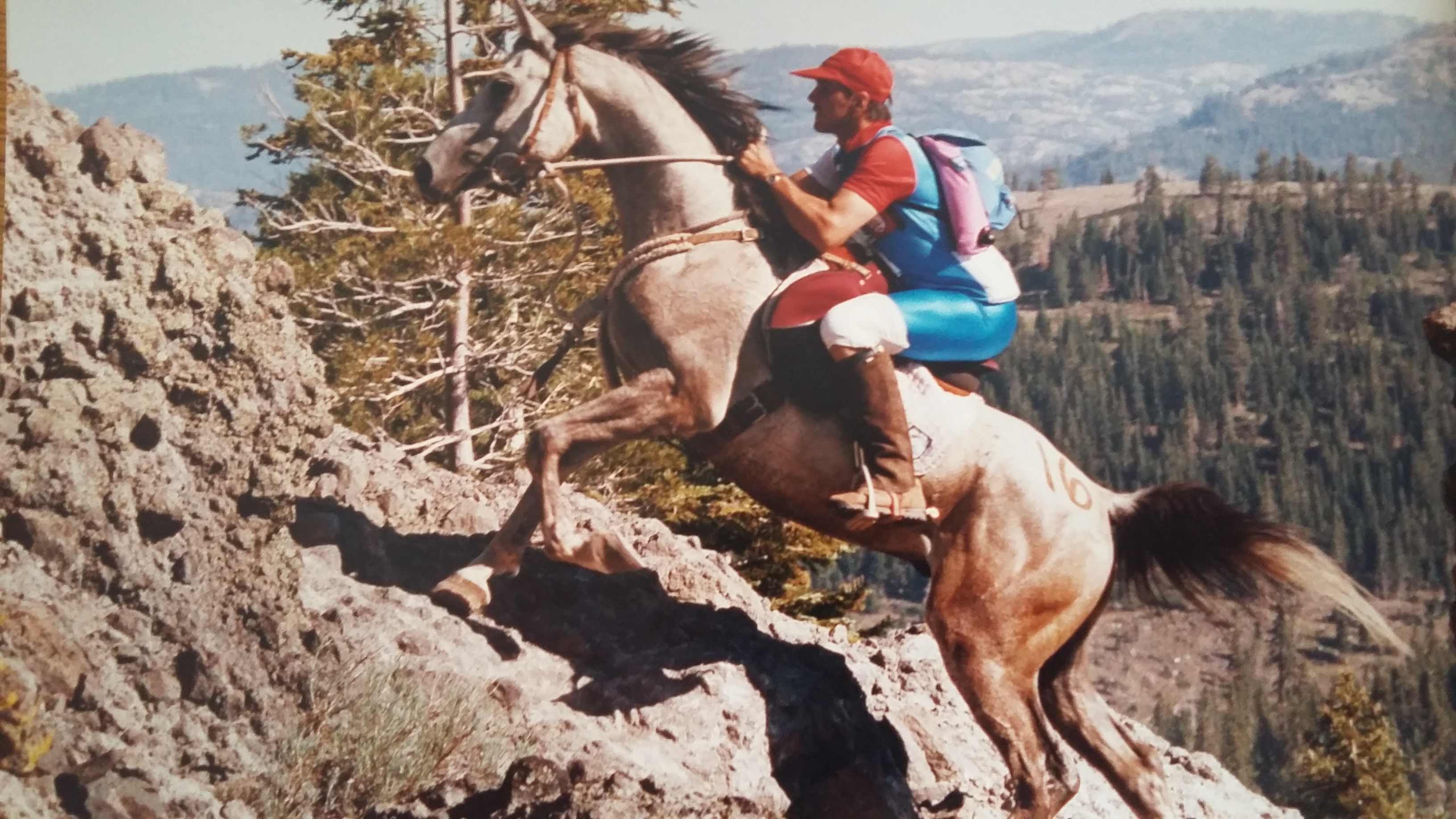 Mountain Region Endurance Riders