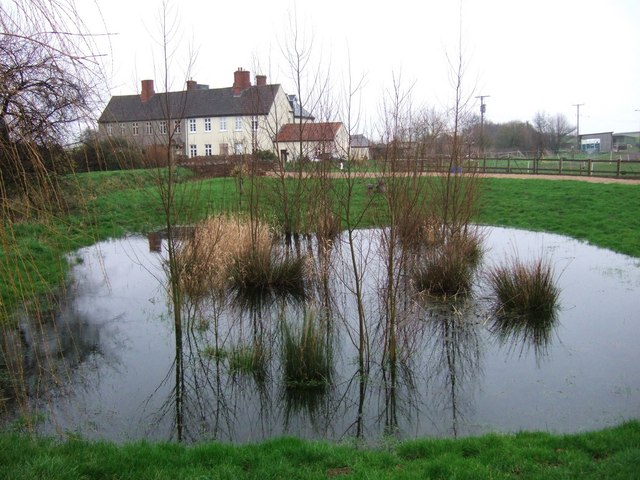 File:Pond at Manor House Farm - geograph.org.uk - 340993.jpg