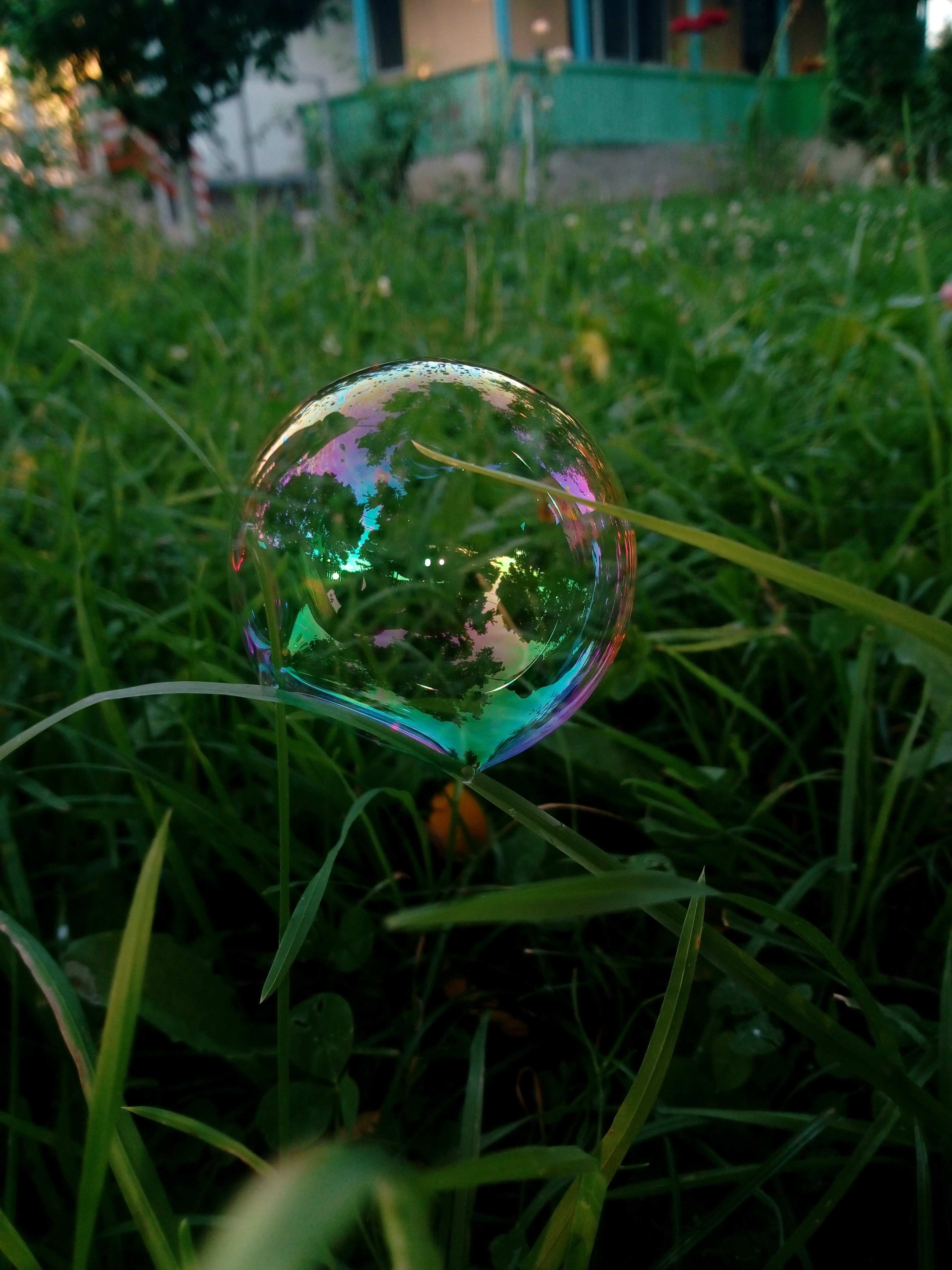 Soap bubble - Wikipedia