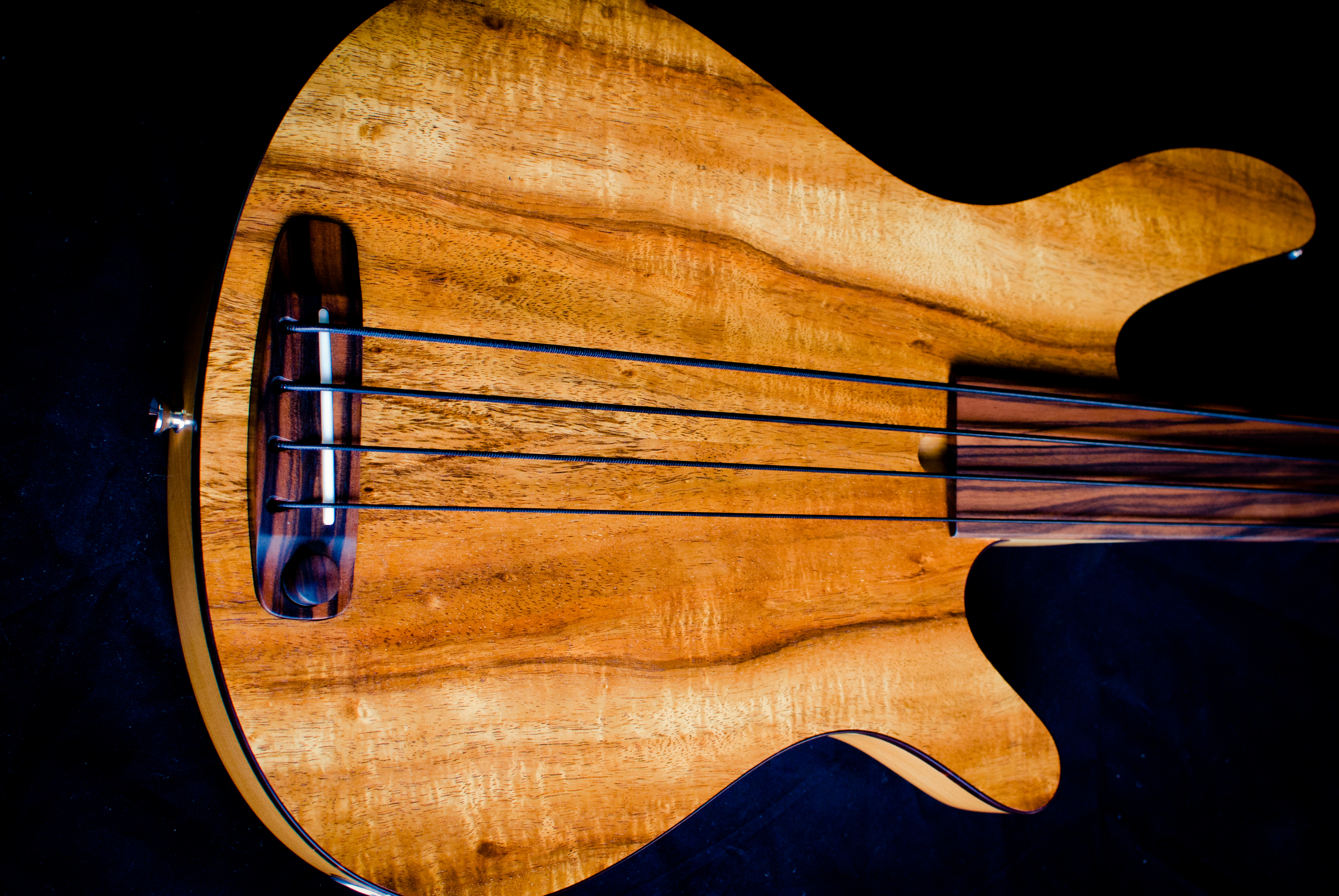 Fretless bass