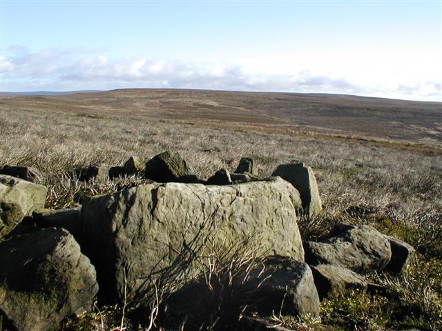 File:Ruins, Whorlton Moor - geograph.org.uk - 76873.jpg