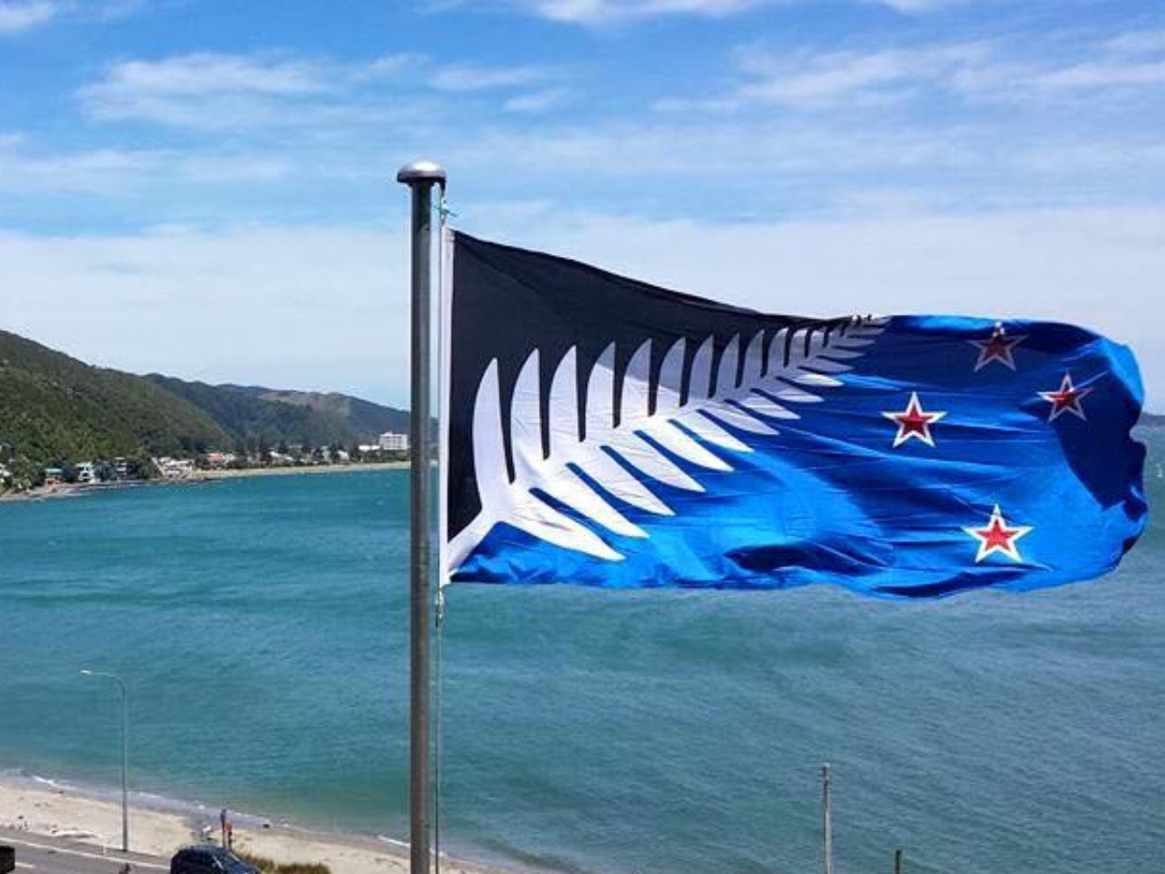 Silver fern flag - Wikipedia