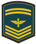 Sub-Official 1 (Senior Master Sergeant).gif