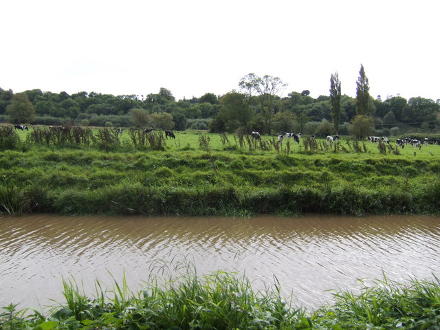 File:The Ballyrafter Flats, near Lismore - geograph.org.uk - 574625.jpg