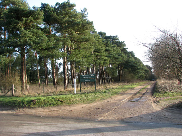 The Peddars Way from Drymere to Cockley Cley - geograph.org.uk - 1670073