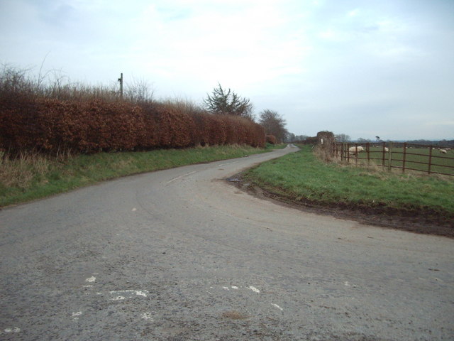 File:The Road to Low Hallburn Farm - geograph.org.uk - 351673.jpg