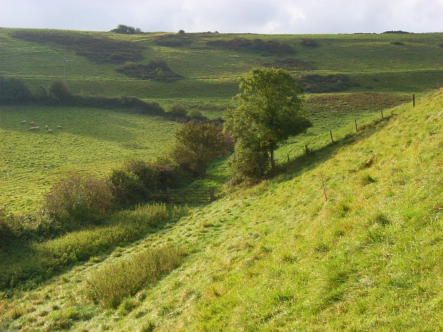 File:The Valley of Stones - geograph.org.uk - 559592.jpg