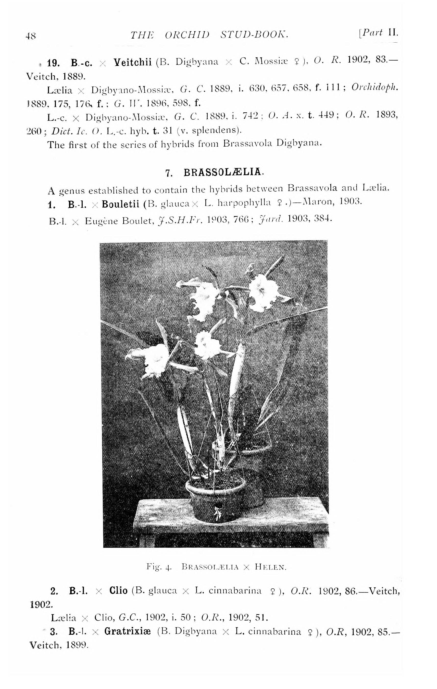 File The Orchid Stud Book An Enumeration Of Hybrid Orchids Of Artificial Origin With Their Parents Raisers Date Of First Flowering References To Descriptions And Figures And Synonymy With An Jpg Wikimedia Commons