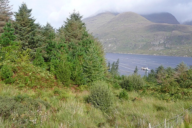 File:Towards Killary Harbour - geograph.org.uk - 969028.jpg